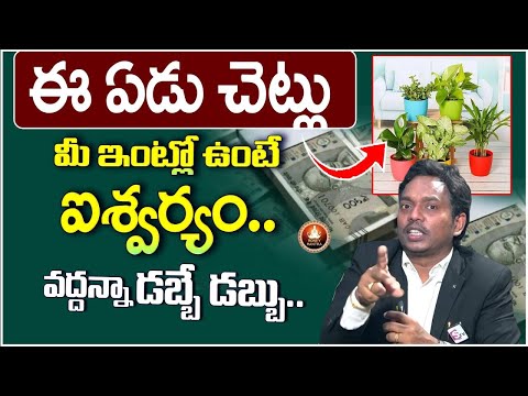 Top 7 Lucky Plants for Home | Lucky Plants For Home |Vastu Plants In Home ‪|Sheik Anwar #moneymantra
