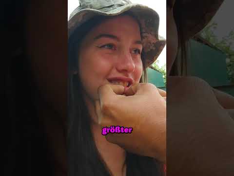 Bienenstich für dickere Lippen 😨