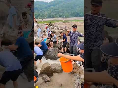 New technique fishes hunting parts 499 đ #fishinglife #1mviewers #ytshorts