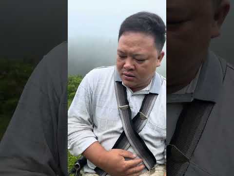 Today Pao will eat these bananas to ease his hunger #survival #camping #viralvideo #bushcraft #short