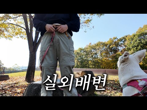 장가 보냈는데도 철이 안 든 오빠 때문에 생각이 많아지는 복순이 | [복순로그 Ep.18]