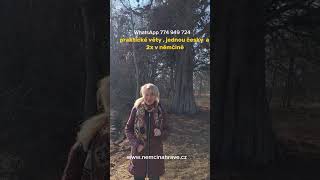 Minutová němčina každý den na whatsapp