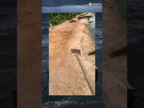 hoang mang-ing #memes nguồn:https://vt.tiktok.com/ZS22cEeHs/