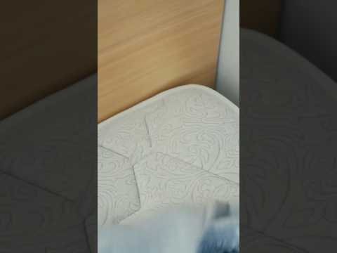 Uji kesabaran #fun #cute #viral #kidsvideo #cat #reaction #shortvideo #love #funny #asmr