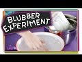 Understanding Blubber and Its Role in Keeping Warm