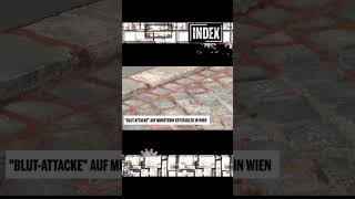 Blut Attacke auf BM Edtstadler. #antisemitismus #islam #israel #palästina #österreich #deutschland