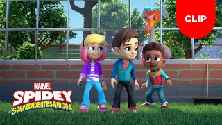 Spidey y sus Sorprendentes Amigos | Clip | ¡Empollando una Aventura!