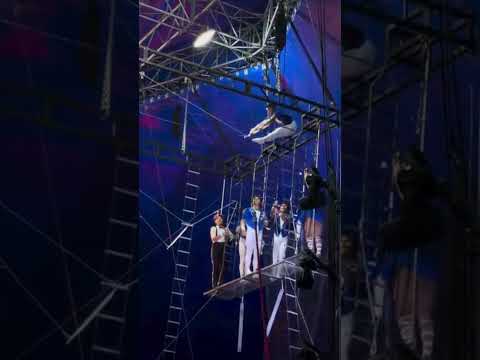 #circus for your time