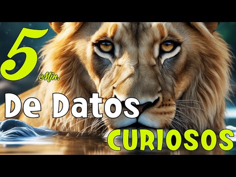 Datos CURIOSOS que Probablemente no CONOCIAS!