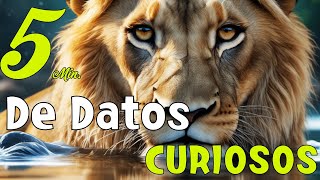 Datos CURIOSOS que Probablemente no CONOCIAS!