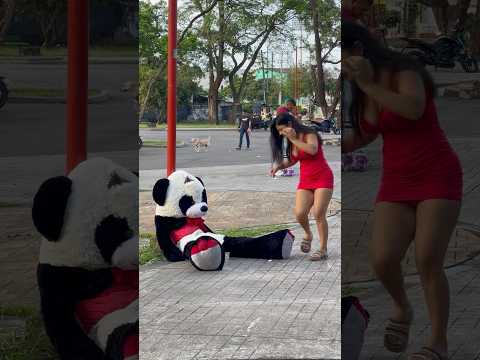 El oso juguetón😂 #funny #shortvideo #prank #comedy #viralvideo #humor #shorts