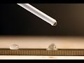 Exploring Speed and Velocity for Kids