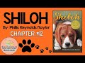 Shiloh Character and Plot Analysis