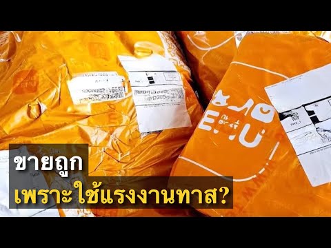 ตรวจสอบTemuเรื่องการบังคับใช้แรงงานการโจรกรรมข้อมูล