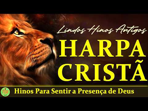 Hinos Da Harpa Cristã - Hinos Para Sentir a Presença de Deus - Louvores de Gratidão 2025