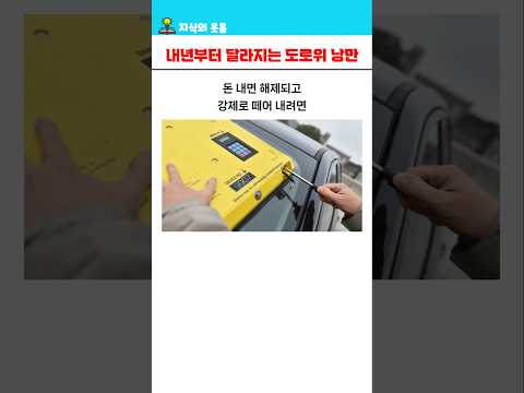 내년부터 달라지는 도로위 낭만 5가지
