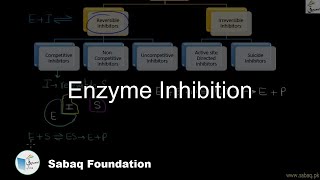 Enzyme Inhibition