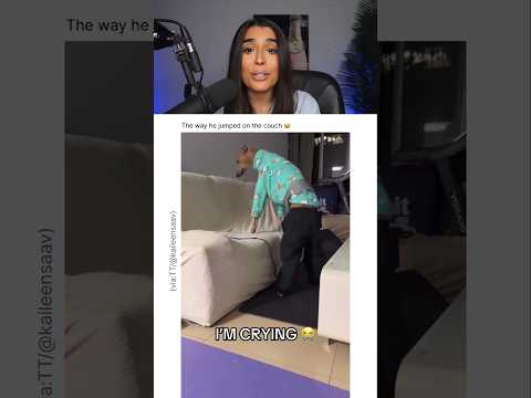 THIS DOG LOOKS LIKE A HUMAN.. 😭