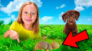 Nastya e o cãozinho encontram algo misterioso no campo! Nova história sobre Nastya para crianças