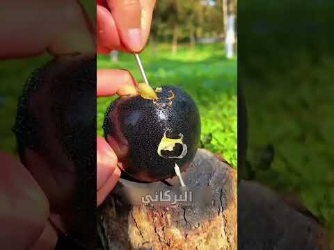 فواكه نادرة جدا في العالم