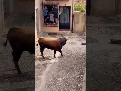 😱 QUE MIEDO! 2 HOMBRES PASAN UN MAL RATO EN LA VENTANA