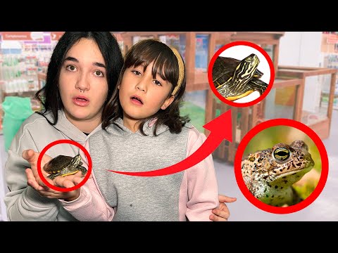 ESTOS SON MIS SAPOS Y MI TORTUGA **NUEVOS TERRARIO** 🐸🐢