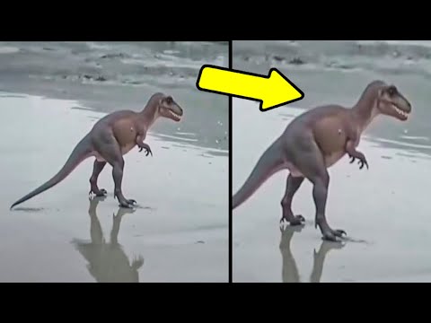 15 Animales Extintos Que La Ciencia Ha Revivido😨