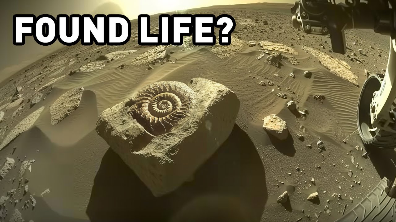 NASA Found Living Microorganisms on Mars? | Space documentary