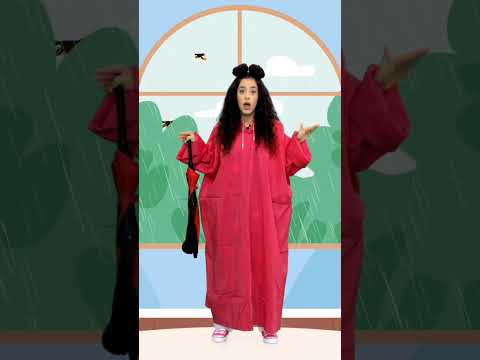 Μαθαίνουμε για το Φθινόπωρο με την ΠΙΚΑΜΠΟΥ! 🍂 🥮