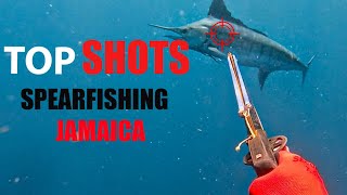 Top Shots Spearfishing Jamaica