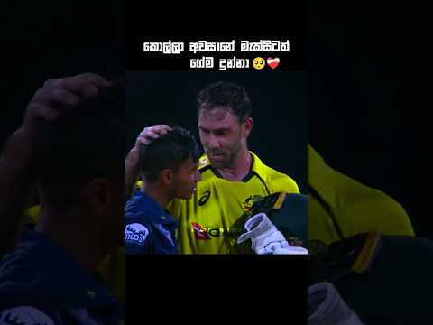 ඒ නිහතමනීකම🥺💗#shorts #cricket #cricketshorts
