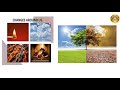 Physical and Chemical Changes