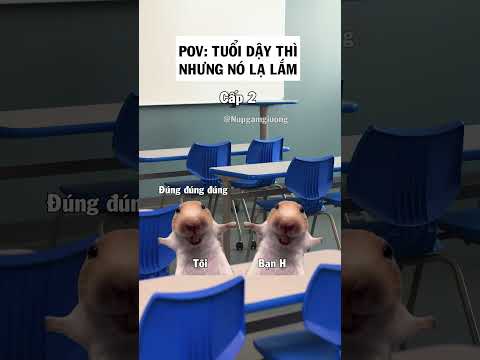 Và 2 cậu ấy đã ... The End  #shorts  #funny #memes #cat