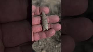 This native american humboldt point is almost complete. Just a small little impact break on the tip