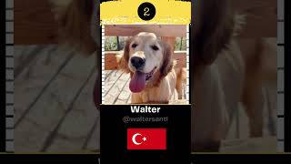 Top 5 GOLDEN RETRIEVER Celebrities 🐶