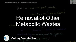Removal of Other Metabolic Wastes