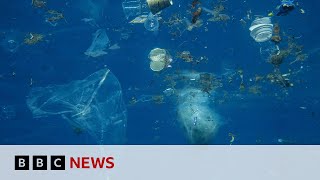 Can robot sharks cleanup our waterways? | BBC News