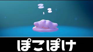 ＃６ 今週の【ぽこポケ】