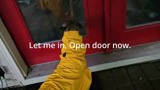 Alfred shows Freya how to wear a raincoat.