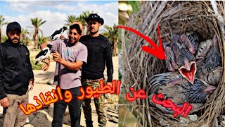 "لقينا أفراخ طيور على وشك تموت وأنقذناها – ما تتخيلون اللي صار!"