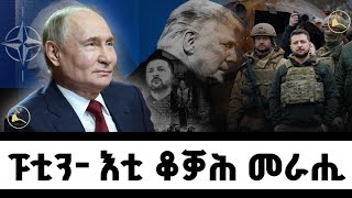 ፑቲን- እቲ ቆቓሕ መራሒ #currentaffairs 