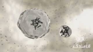 درباره اسپرمها بیشتر بدانید