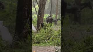 മഴ കാരണം ഷൂട്ട് മുടങ്ങിയ നിമിഷം  - Aadu 3