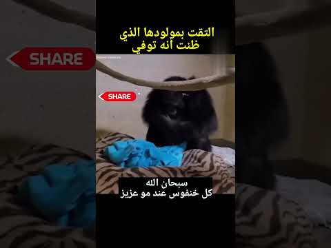 #shorts سبحان الله
