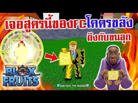 Blox Fruits : ทำสูตรสุ่มผลปีศาจ สูตรนี้โคตรขลัง รีวิวเยอะมาก