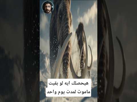 هيحصلك إيه لو بقيت ماموث يوم واحد#معلومات #اكسبلور #animals #facts #معلومات_غريبة #wildlife