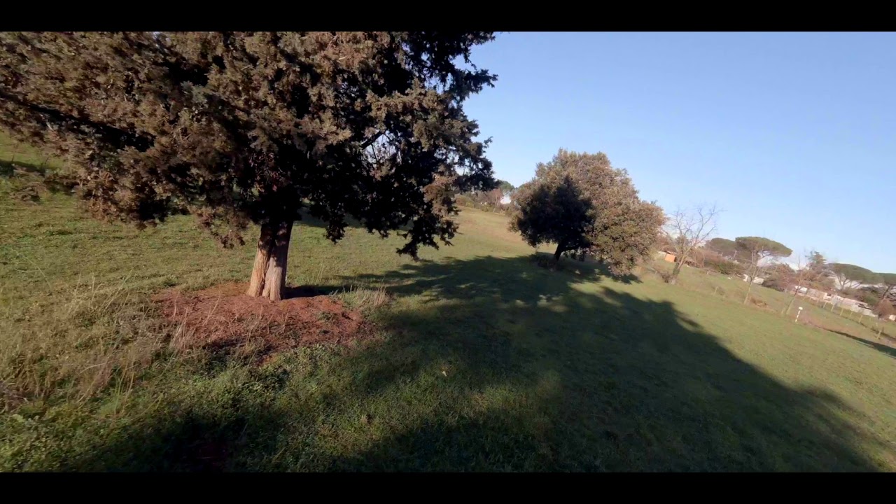 TonyFPV