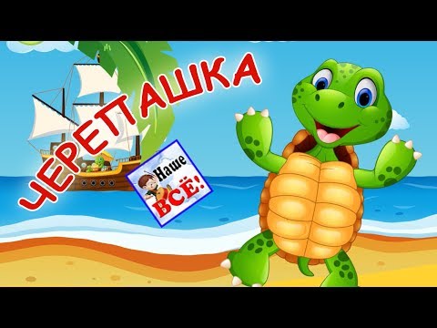 ЧЕРЕПАШКА Чок-чок. Мульт-песенка, видео для детей. Наше всё!