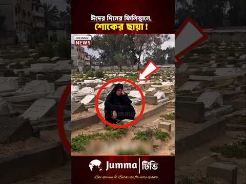 ঈদের দিনেও শোকাহত গাজাবাসী | Gaza Eid Day | #freepalestine #gaza #eidday