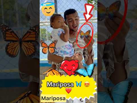 Mariposa son 🦋hermosas 😍❤️💯 #viral #youtubeshorts #shortvideo #comedy #love